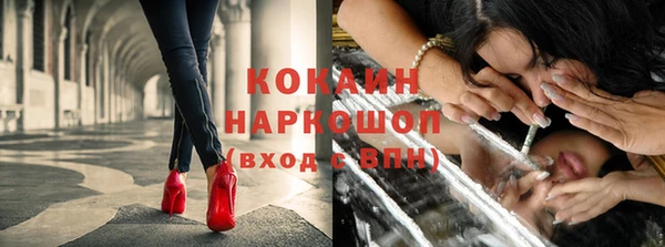 бошки Ладушкин