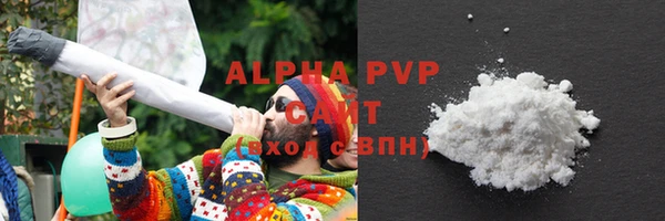 бошки Ладушкин