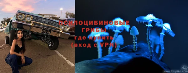бошки Ладушкин