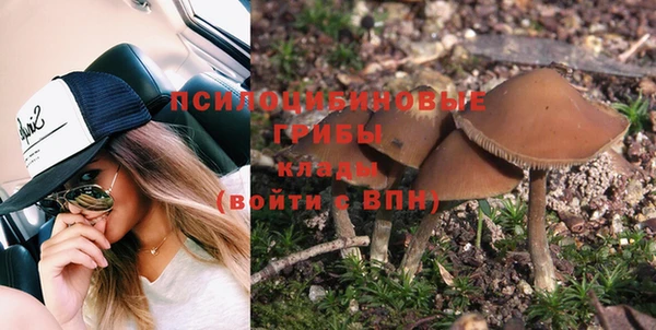 бошки Ладушкин