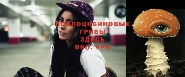 соль ск Лабытнанги